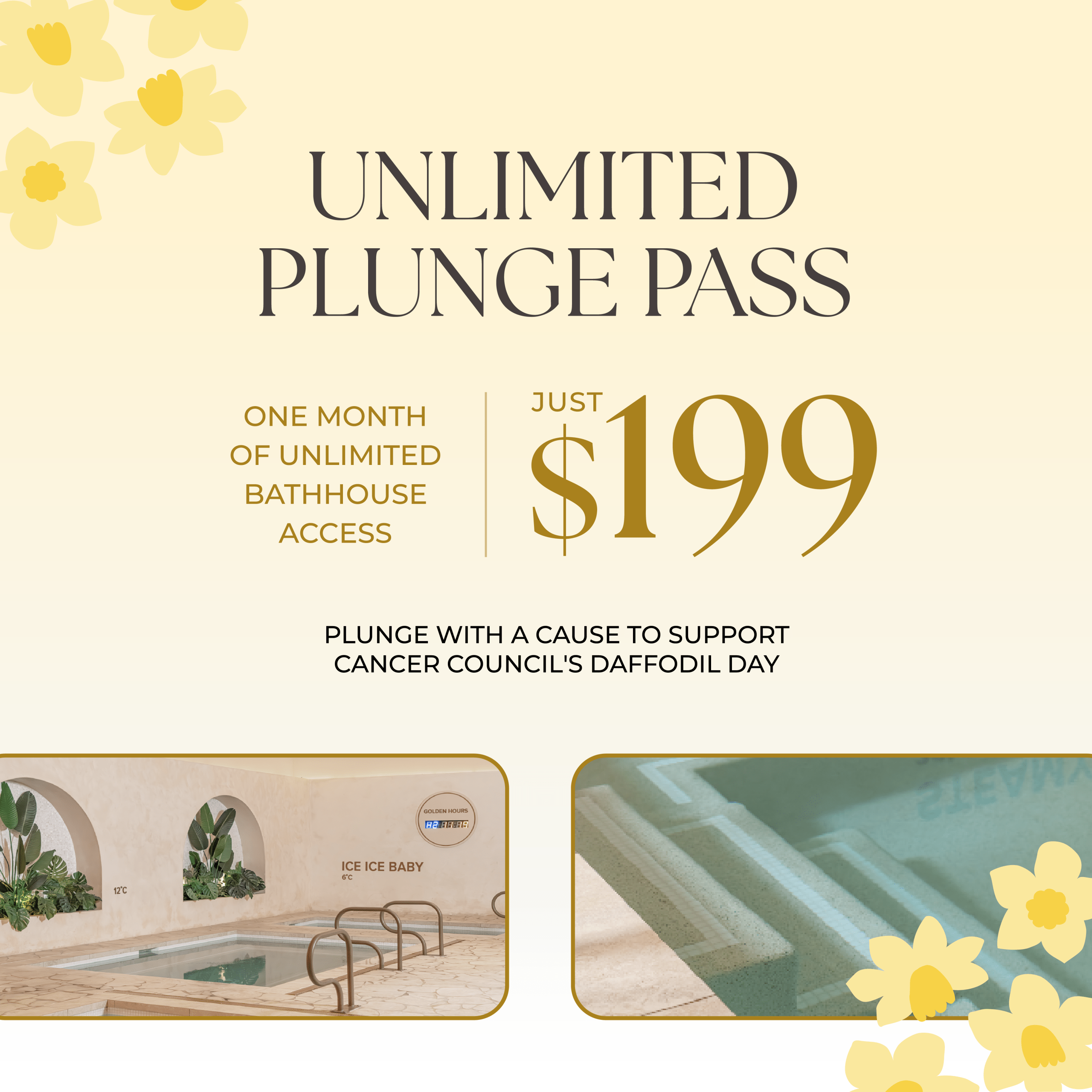 Merse Wellness Spa Daffodil Day Dip